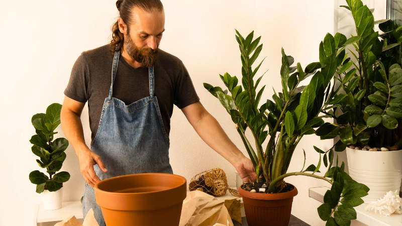 Ecosistema TerraNoble para aprender sobre cuidado de plantas