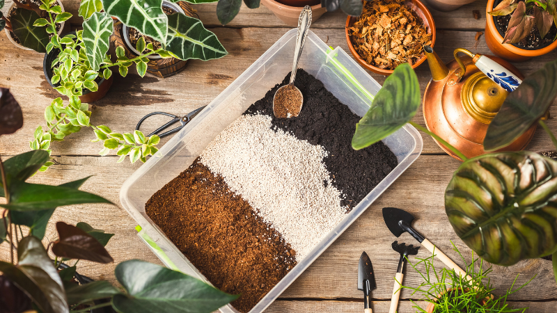 Mejorando tierra de hojas en una maceta