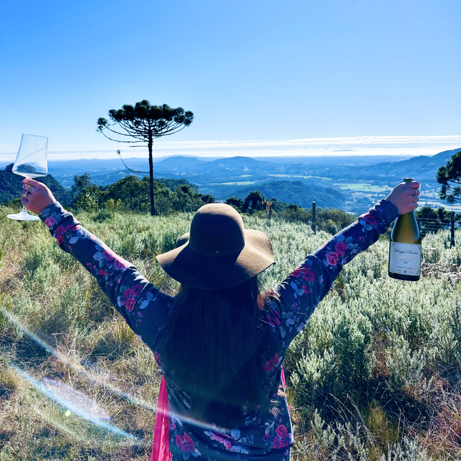 Descrição da imagem 3