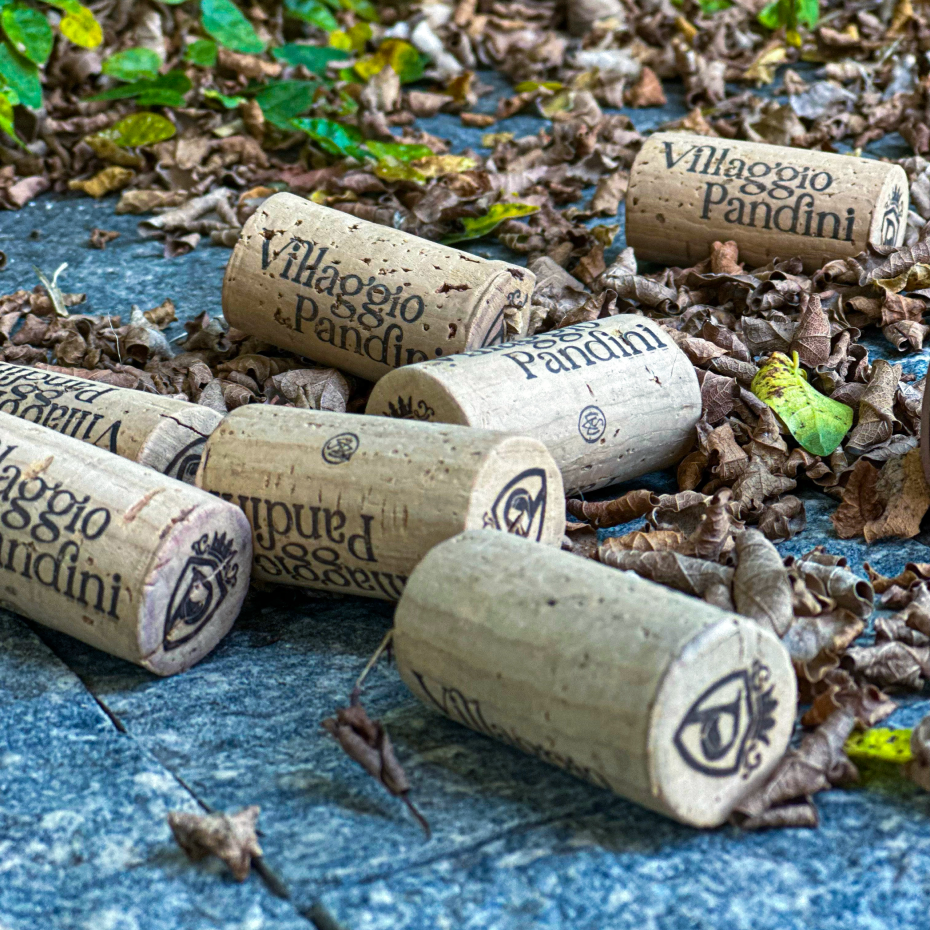 Descrição da imagem 6