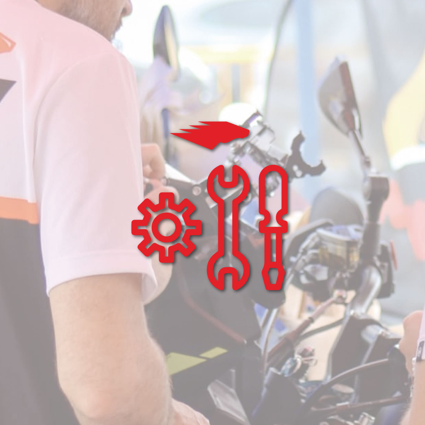 Nuestro espíritu de ruta