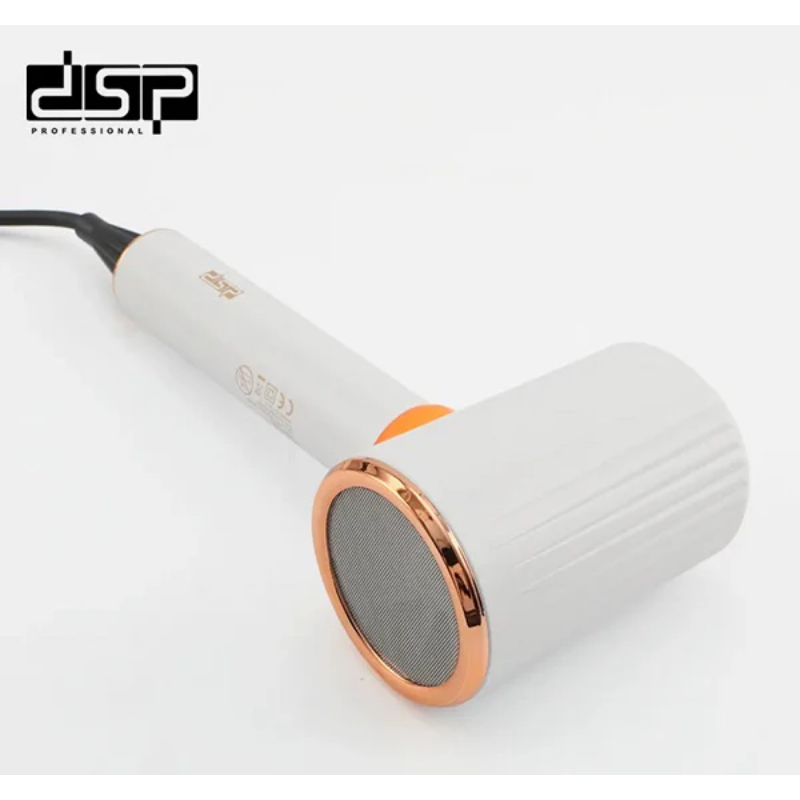 Secador de pelo profesional 6000W