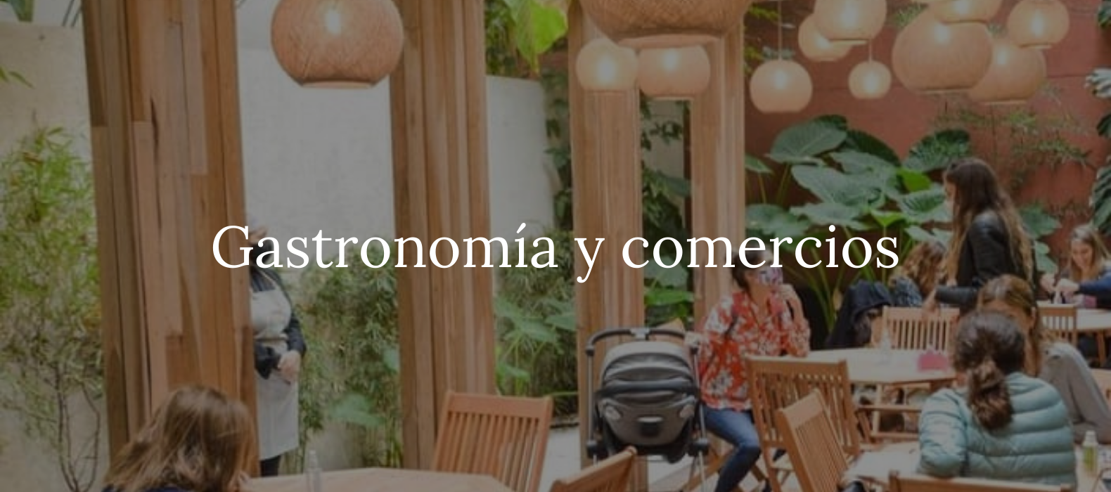 Gastronomía y comercios