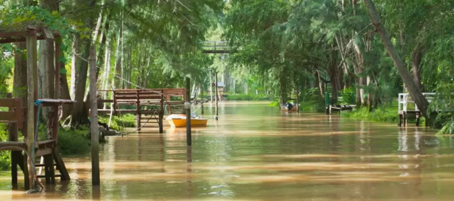 El Delta del Paraná - Isla Alondra