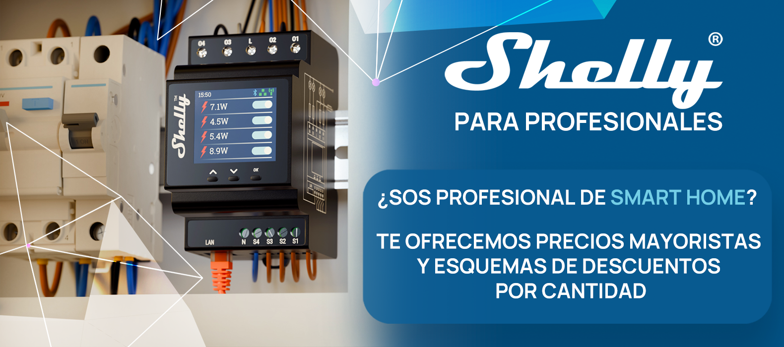 Shelly para profesionales