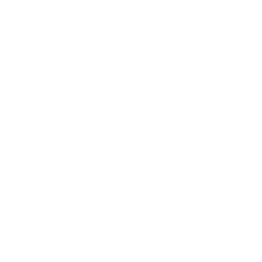Aeron&aacute;utica