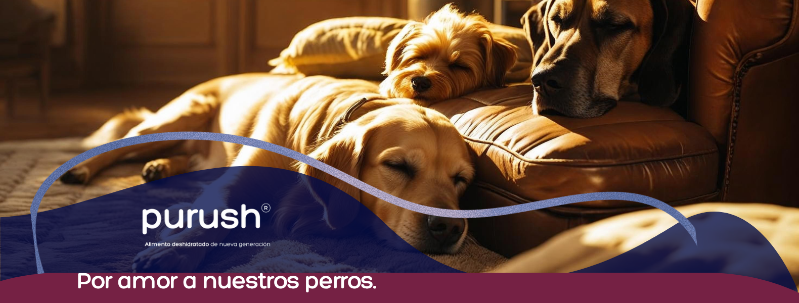 perros sala
