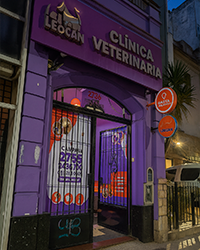 Sucursal Belgrano