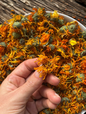 Calêndula biodinâmica