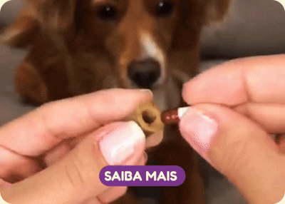 Banner de Frebo Pet