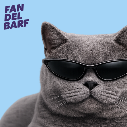 FAN DEL BARF PARA GATOS