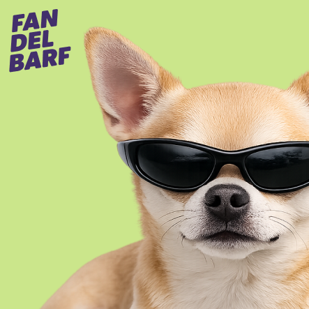 FAN DEL BARF PARA PERROS