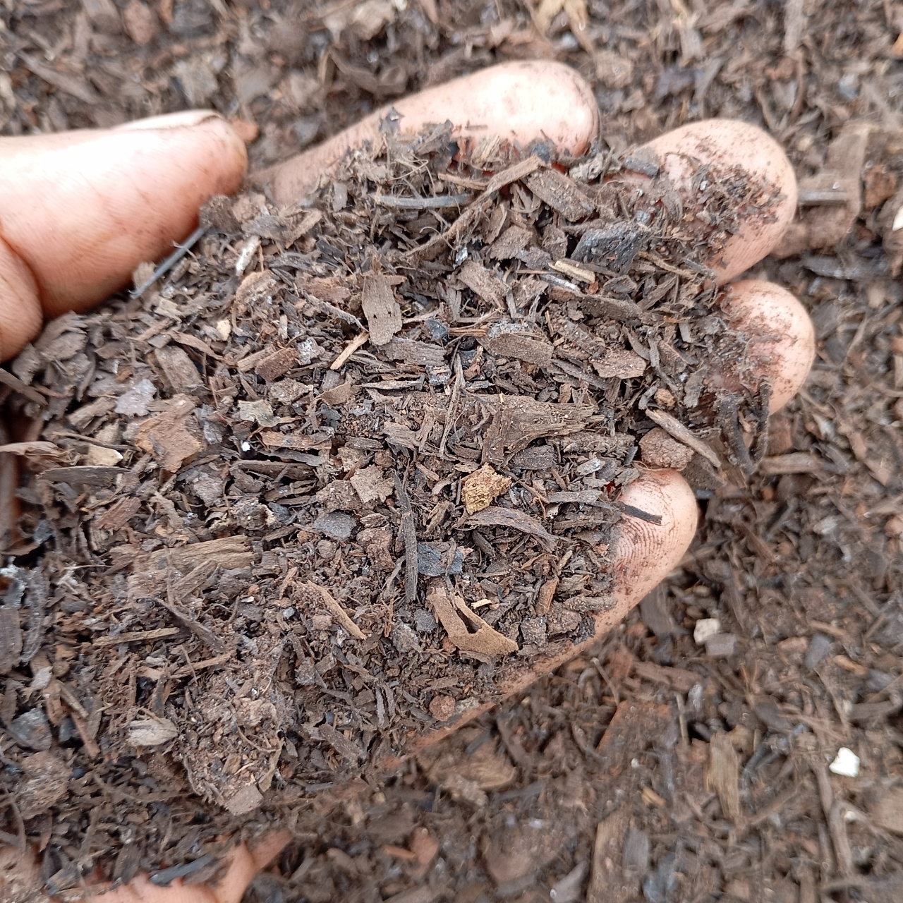 Terra Vegetal Premium