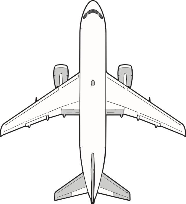 Avi&atilde;o