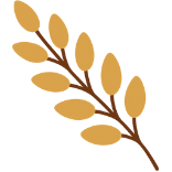 Proteína de Trigo Hidrolisada