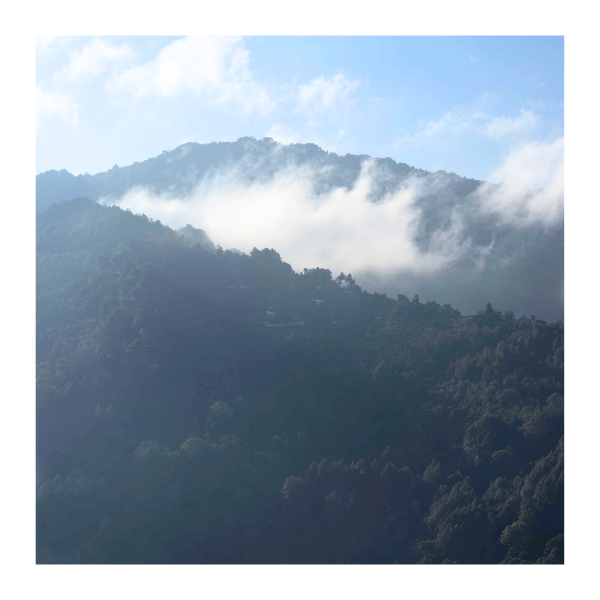 paisaje