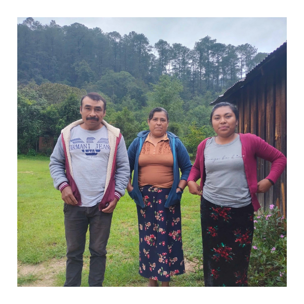 comunidad