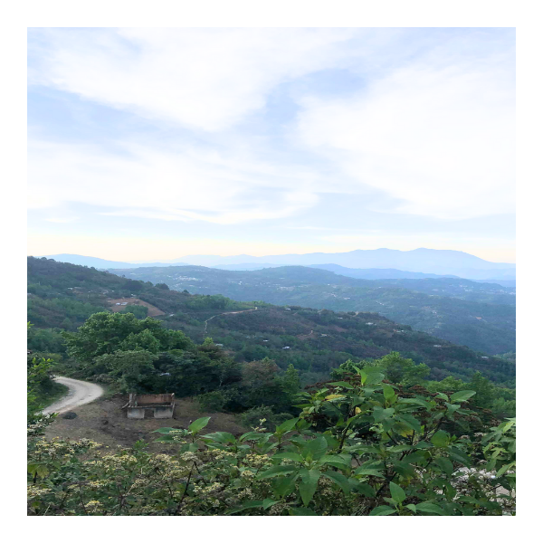 el paisaje