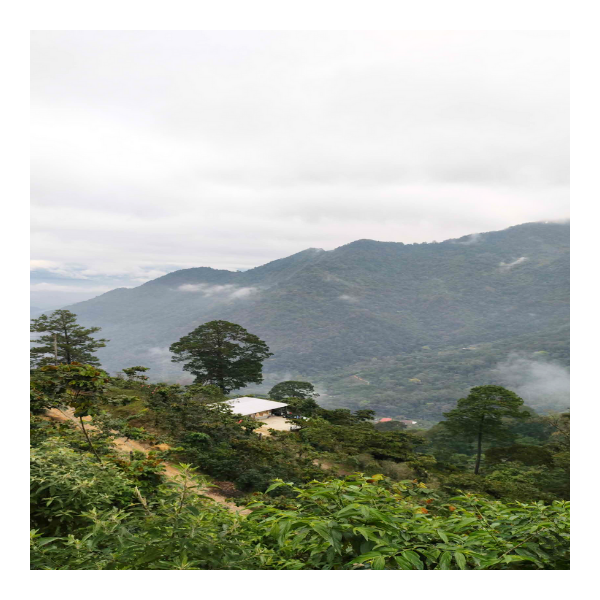 paisaje