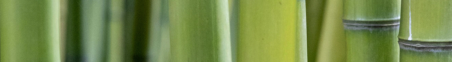 Banner da categoria Esfoliante Corporal Suave