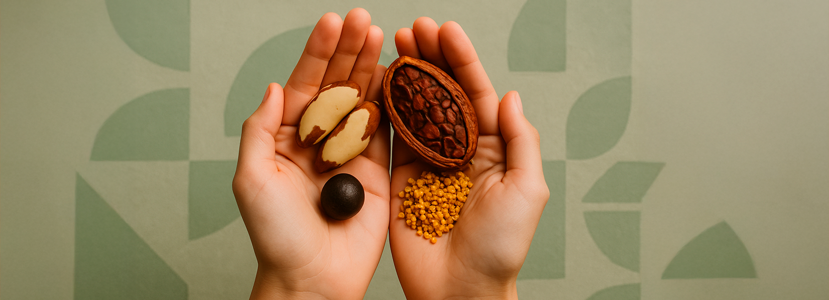 mãos com sementes produtos almaê