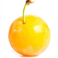 Ameixa Mirabelle