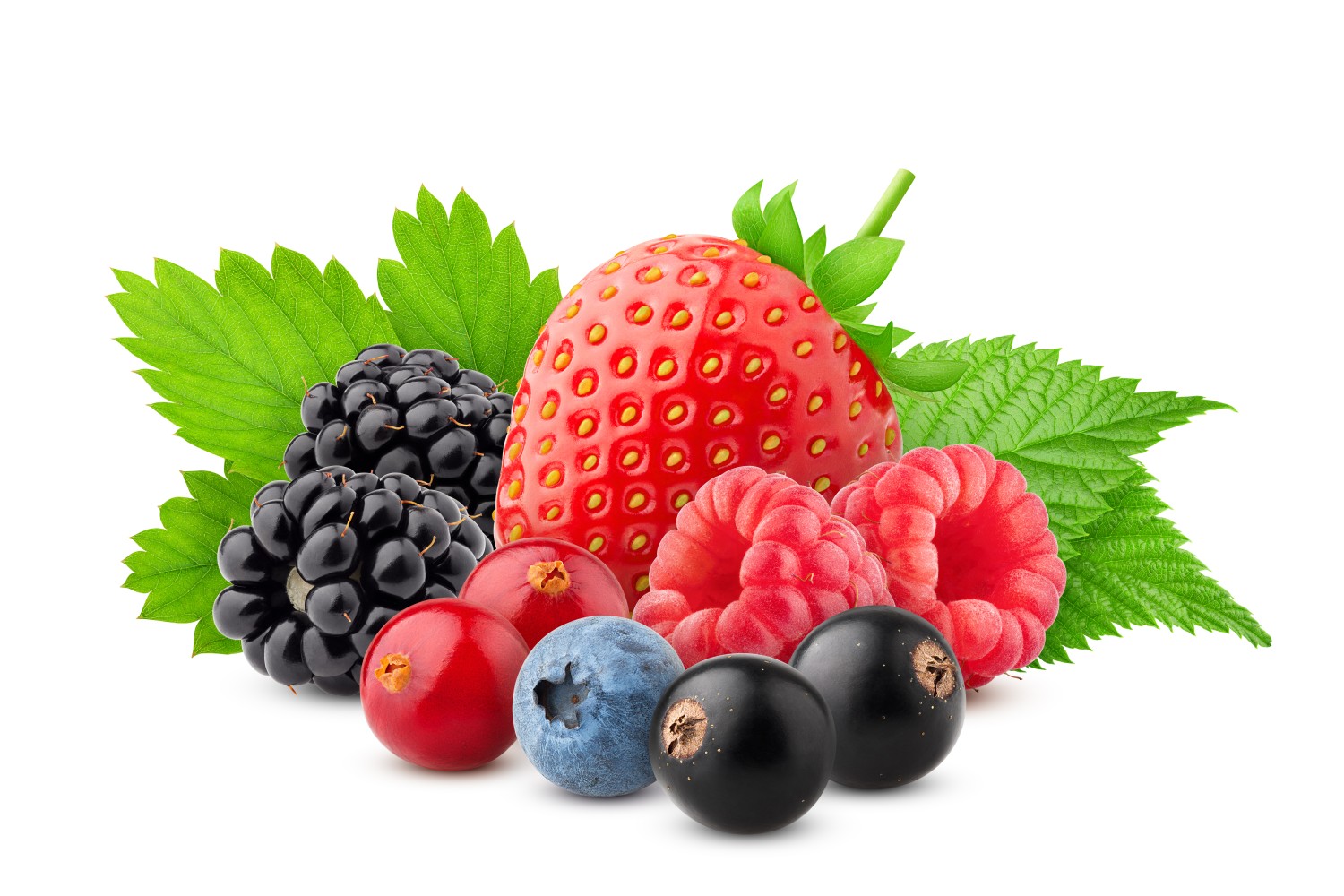 Frutas Vermelhas