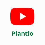 Icone para vídeo no Youtube mostrando o plantio na horta suspensa Jardim de Comer.