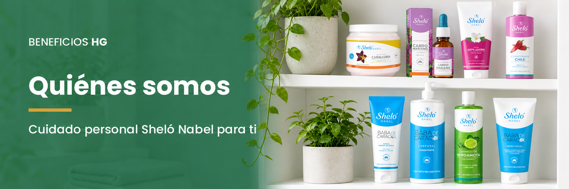 Quiénes Somos
