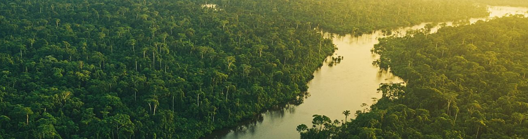 imagem amazônia