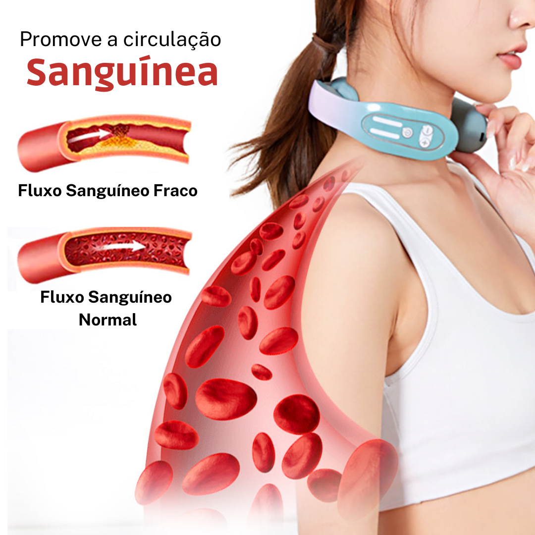 Promove a circula&ccedil;&atilde;o Sangu&iacute;nea