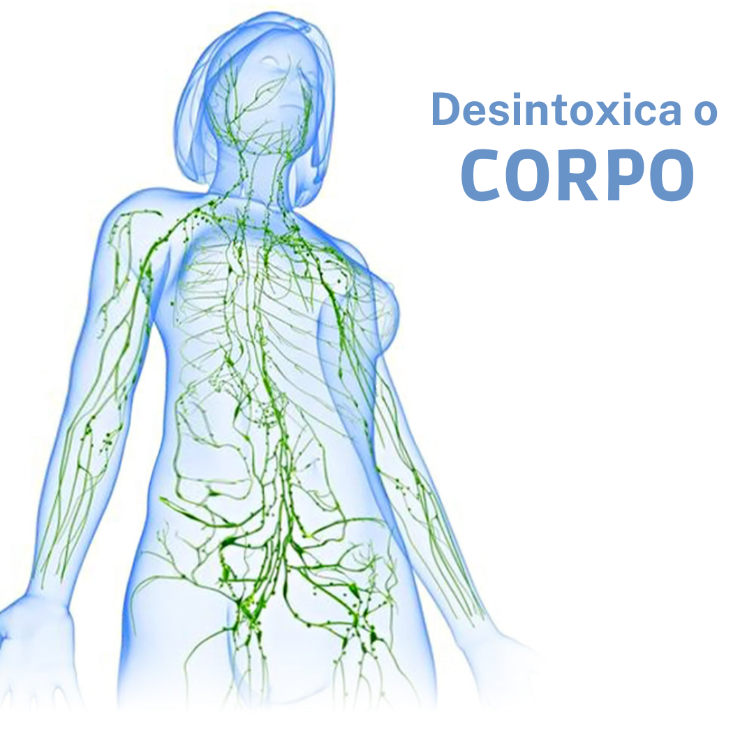 Desintoxica o Corpo