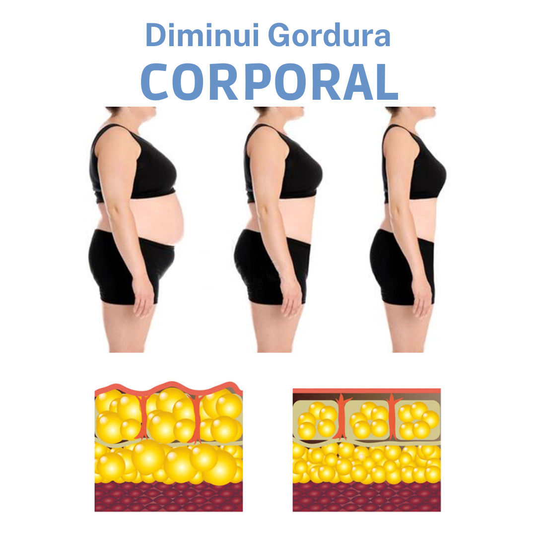 Diminui Gordura Corporal