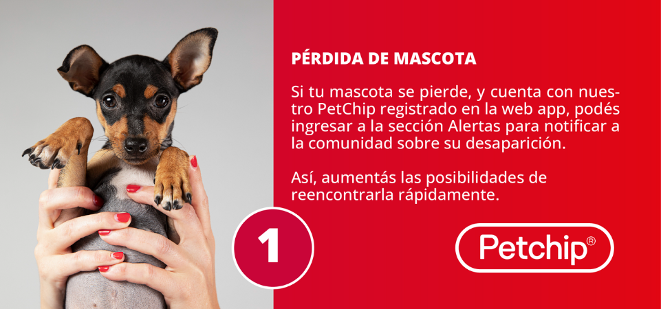 registro mascotas pasos 2