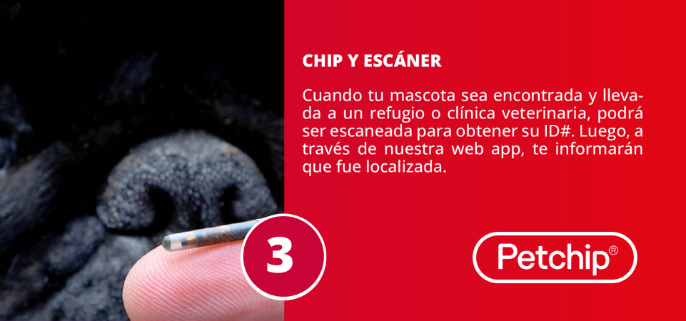 registro mascotas 3