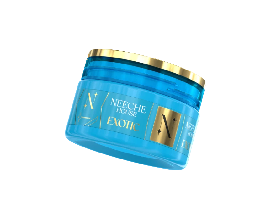 Exotic Neeche House