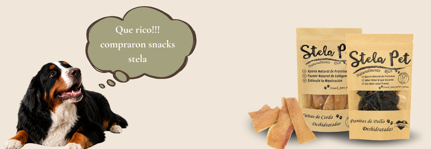 Beneficios de snacks naturales para mascotas