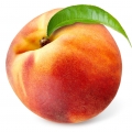 P&ecirc;ssego