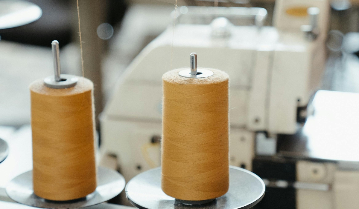 Equipo Bichitos en el taller