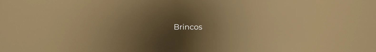 Banner da categoria Brincos