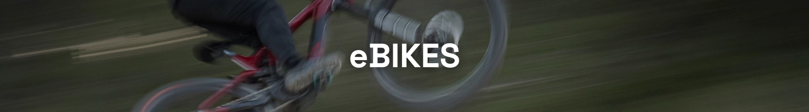 Banner de la categoría eBIKES