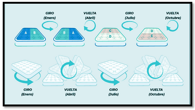 rotacion del colchon dyc colchones santa fe