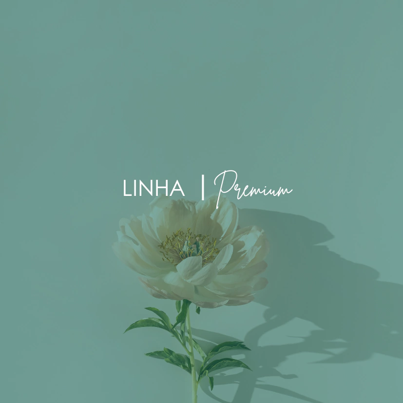 Banner da categoria Premium