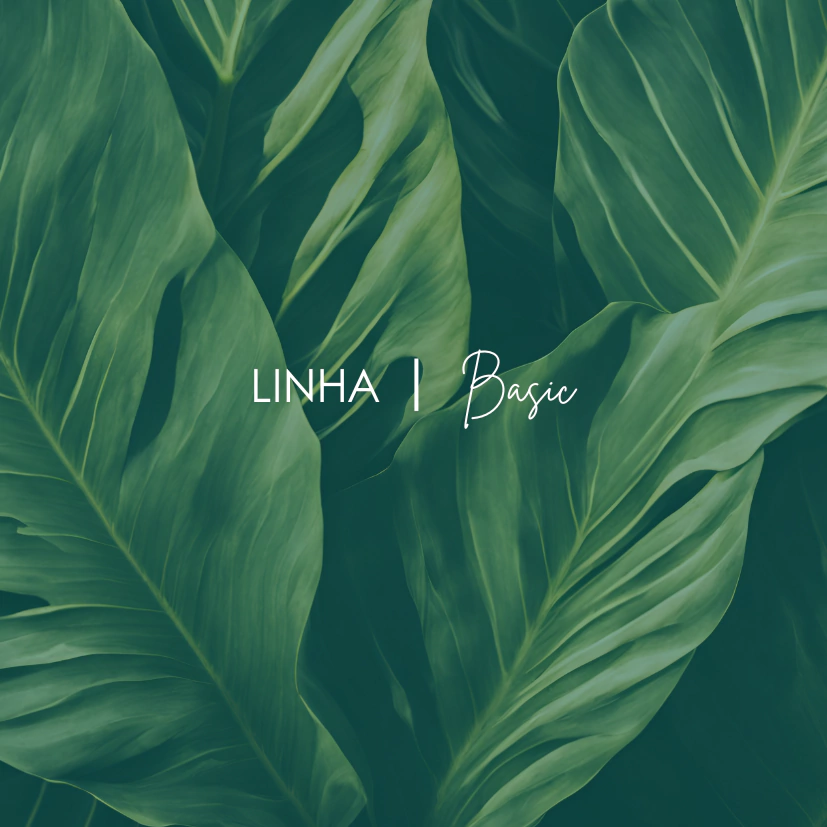 Banner da categoria Basic