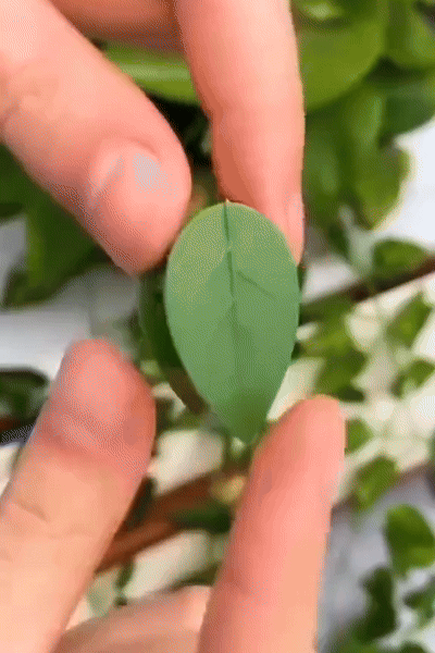 roads go ever, ever on