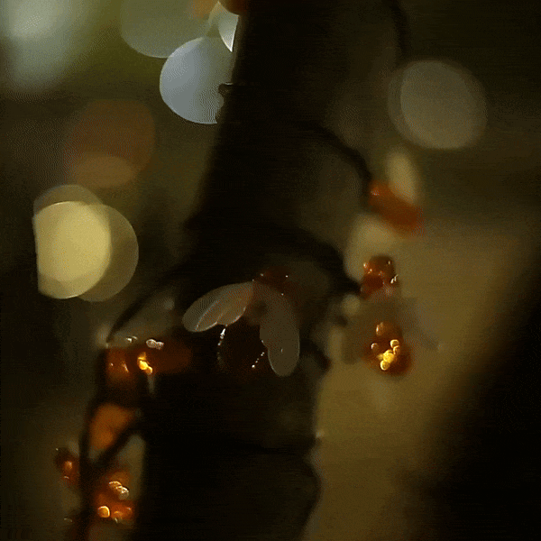 roads go ever, ever on