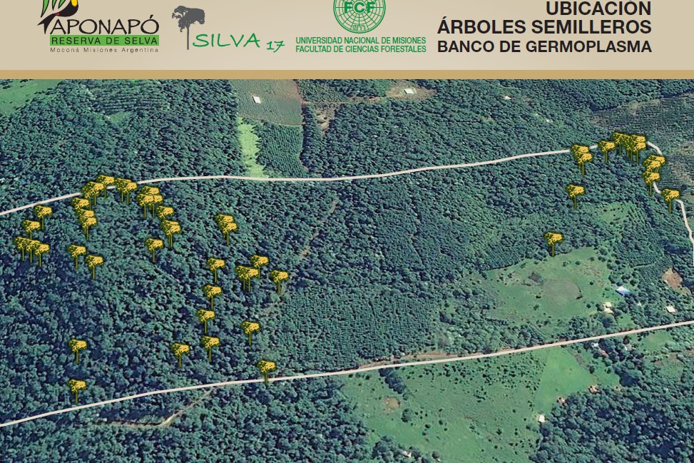 Mapa de ubicación de los árboles semilleros de la Reserva Aponapó