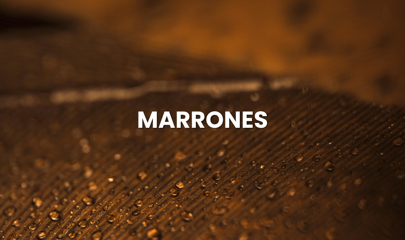 Marrones