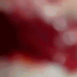 Preparación alfajor - paso 2