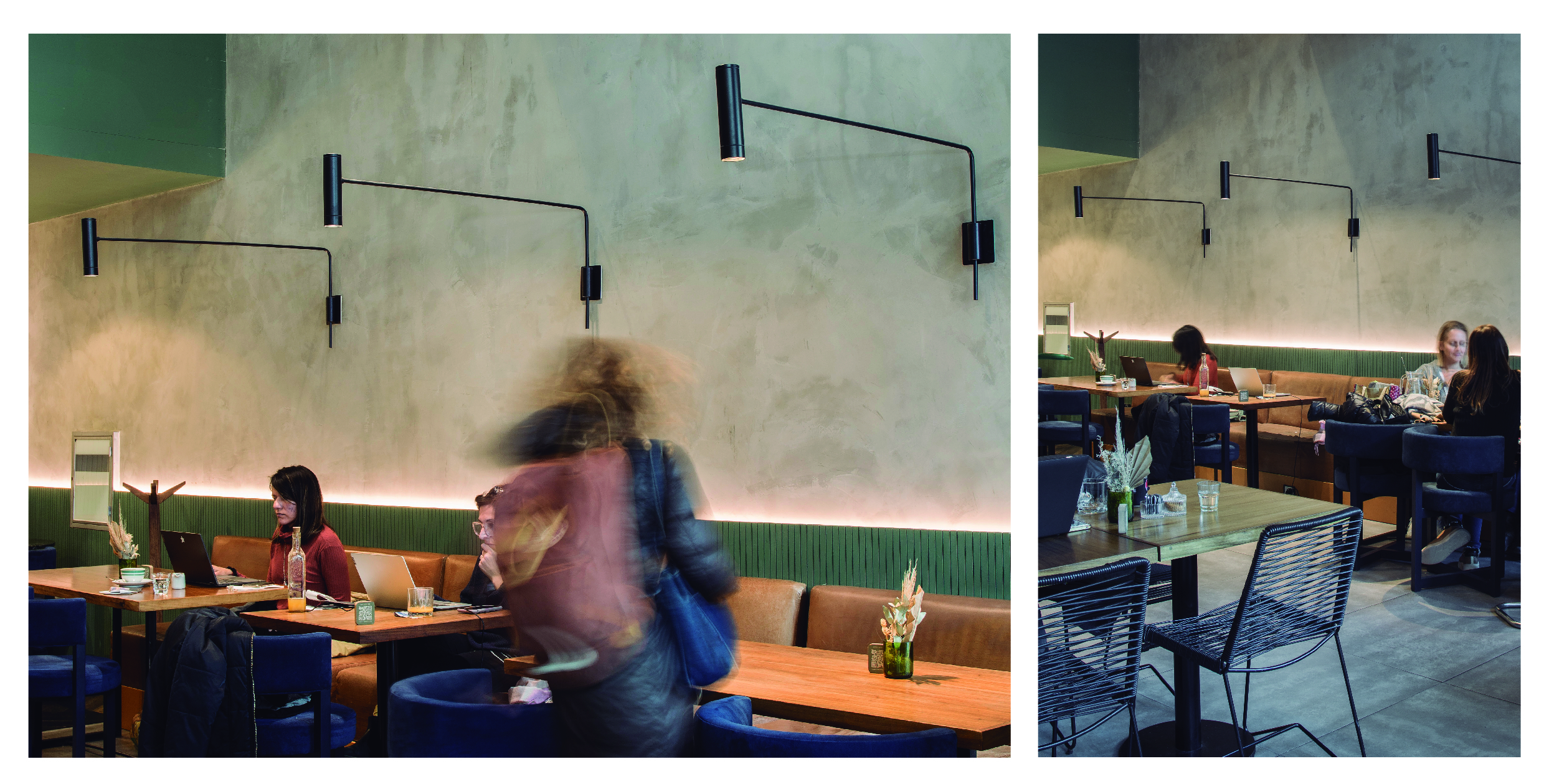 cavia brazo corto - Cavia colgante | iMdi